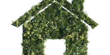 House shape made of green plants and flowers.