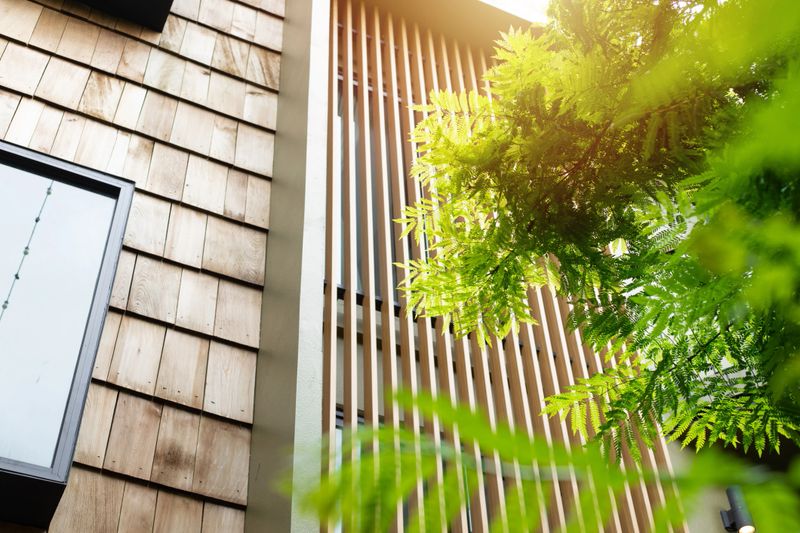 Modern home with wooden wall wooden slats and green tree for cooling sunshade and saving energy house exterior