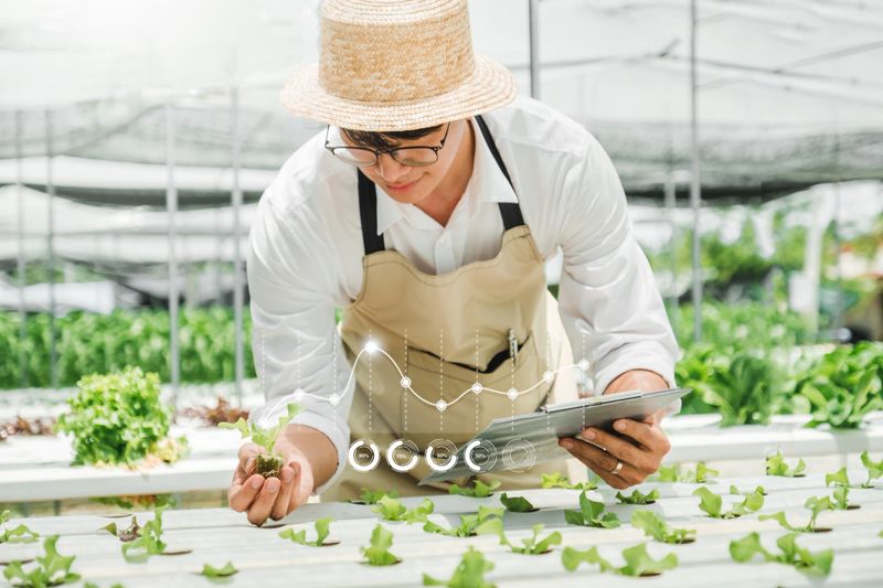 Happiness Asian Man gardener  Working with Smart farming Agricultural IOT  technology freshness vegetable hydroponic greenhouse  in hydroponic farm