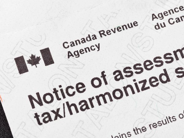 Close-up of a Canada Revenue Agency tax assessment notice.