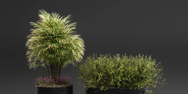 Two modern black plant pots with green plants on copper stands against a dark background.