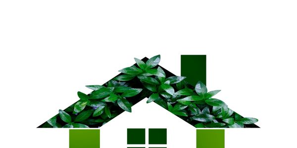 Develop and sell eco-friendly tiny homes within 12–24 months
Partner with lenders, nonprofits, and g