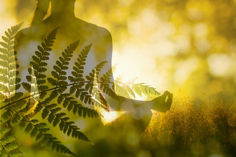 Woman mediating in a green nature zen setting