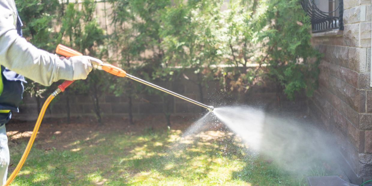 Person spraying water outdoors with a hose sprayer.