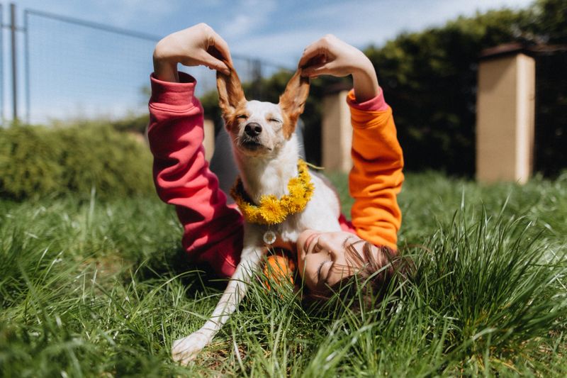 A shot of a woman lying on the grass in a backyard or outdoor area, with a dog lying next to her or on top of her, with the woman's hands holding the dog's ears or head, with a sense of playfulness and affection in the composition.