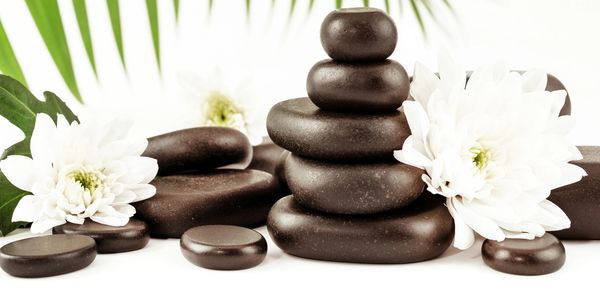 Tru Form of Beauty
1010 Jorie Blvd
Oak Brook IL 60523
(773) 575-1897