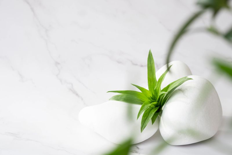 White stones and green leaves on marble background with copy space. Body care and beauty treatment. Spa and wellness or massage salon concept. Advertising background for your product.
