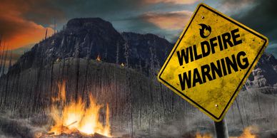 wildfire smoke damage on residential property Los Angeles area