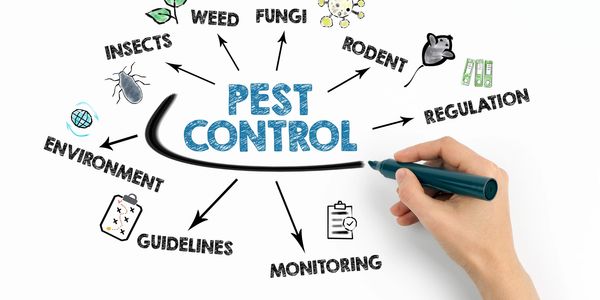 A women written Pest control 