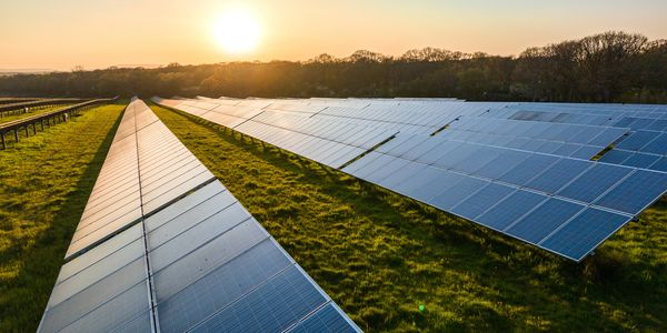 Rows of solar panels bathed in warm sunset light on a grassy field.