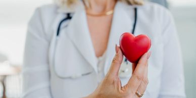 Doctor holding a red heart model.