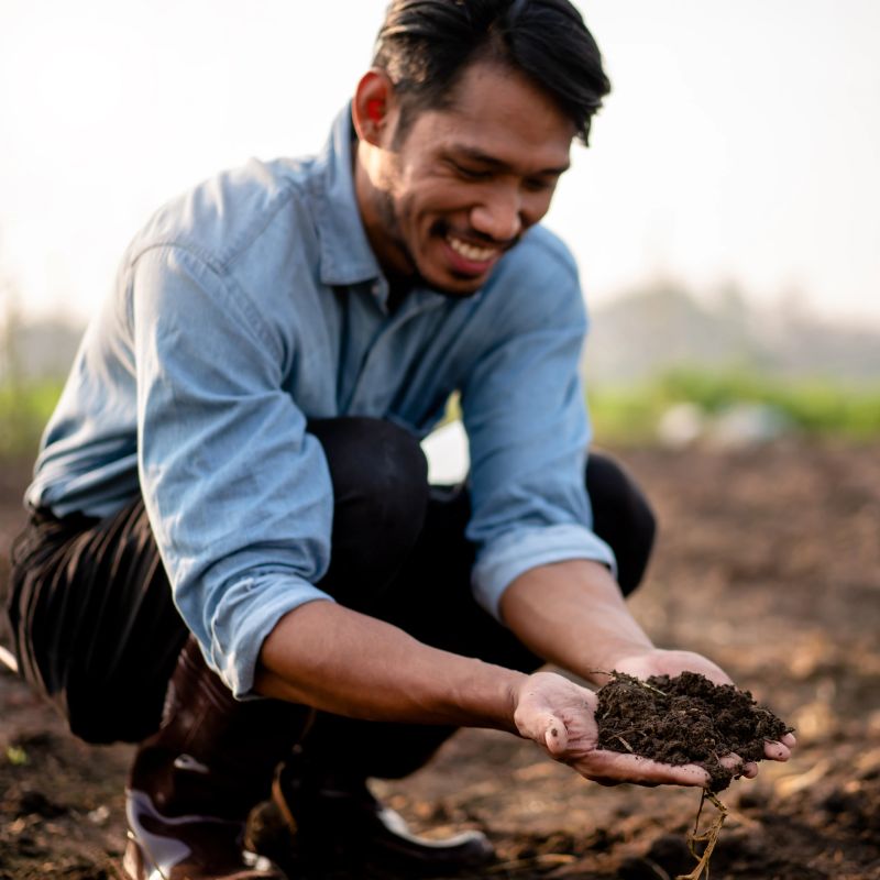 Smart farmer holding soil in his hands to examining quality of soil for working and planning system control before vegetable growing with technology at agricultural field.