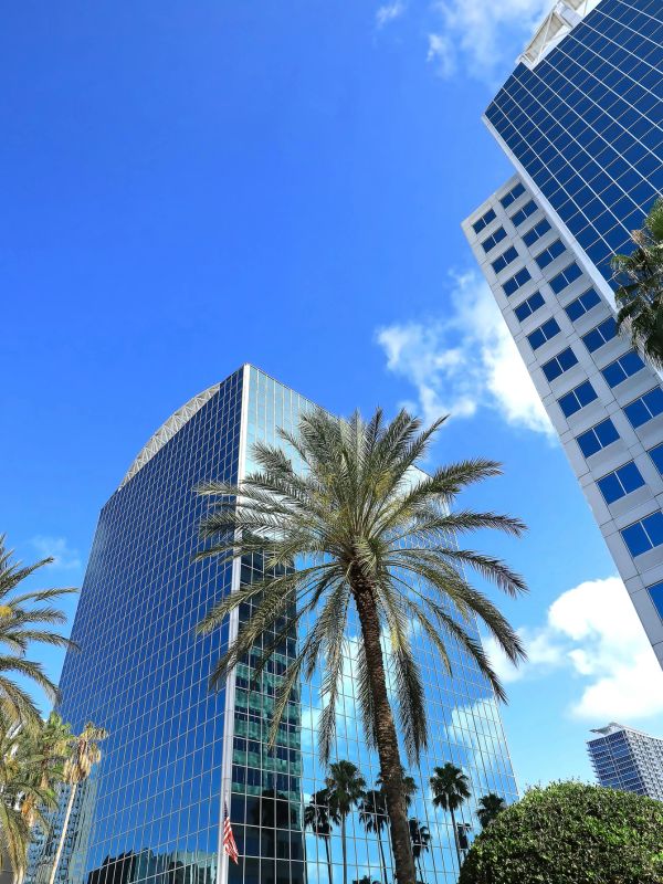Tall modern glass buildings with palm trees under a bright blue sky.