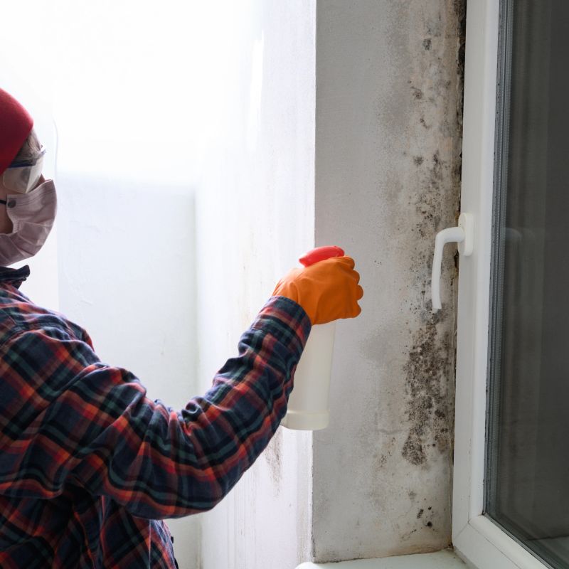 Mold and fungus on a plastic window, a woman removes mold on a window, a woman sprays chemicals on a window from mold, rubber gloves and minimal protective equipment.