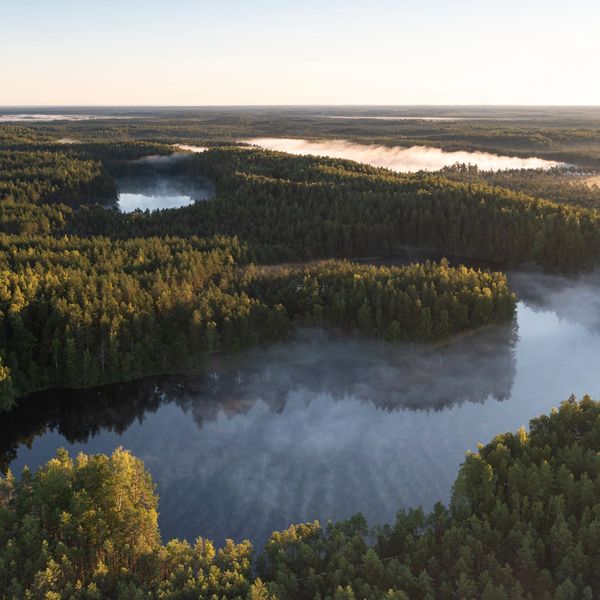 Estonian e-residency for solopreneurs running SaaS businesses