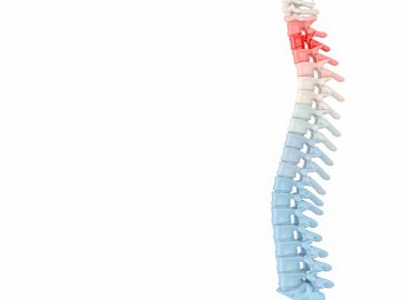 Colored illustration of the human spine with highlighted cervical region.
