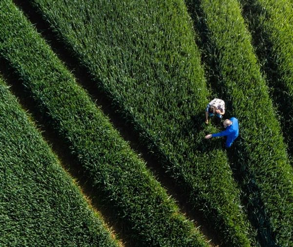 A woman pulls a chain to reveal a clean, green city behind polluted air and factories.