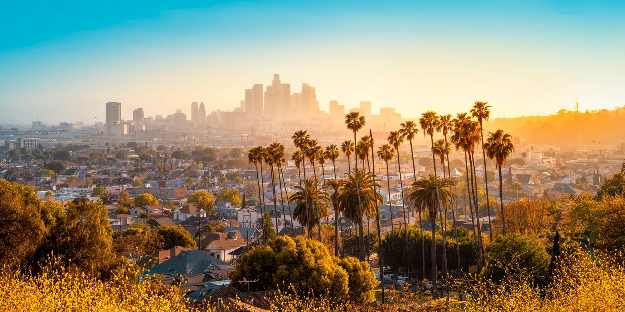 Sunset view of Los Angeles skyline with palm trees and cityscape.