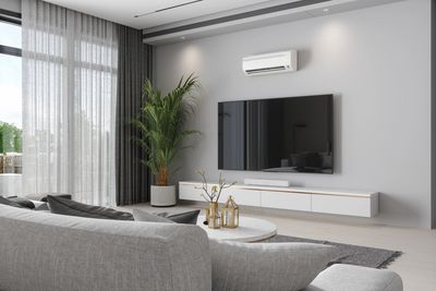 Modern living room with gray sofa, wall-mounted TV, and large plant.