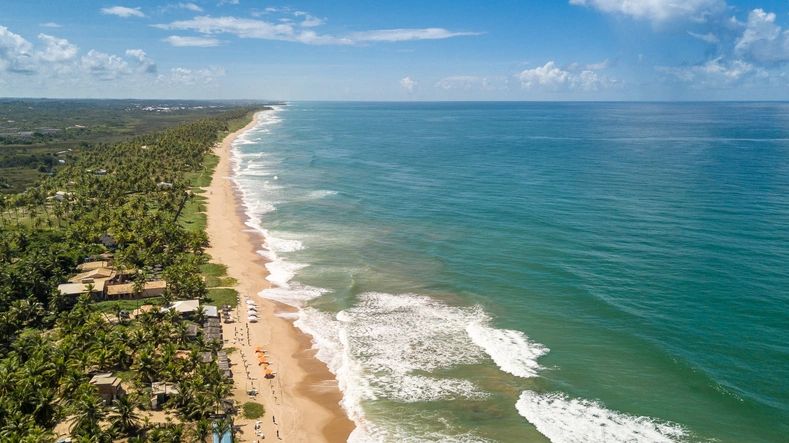 Imbassai Beach, Bahia. Aerial view of nature and sea.