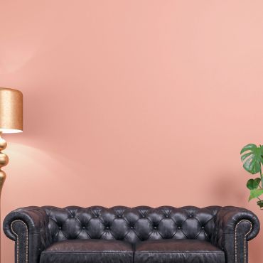 Black leather couch against a peach wall with a gold lamp and green plant.