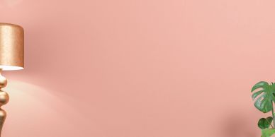 Minimalist interior with pink wall, gold lamp, and green plant.
