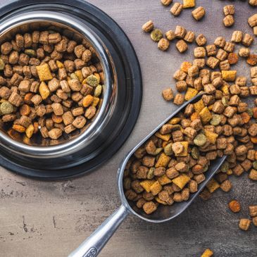 Dog kibble in metal bowl with scoop and spilled food.