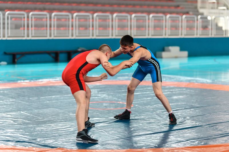 Blue Vs Red During Wrestling Match