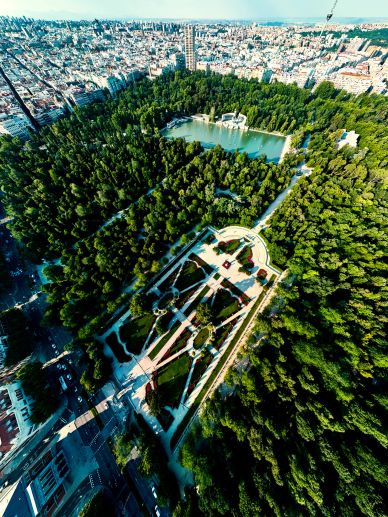 Aerial view of a large urban park with dense trees and a central lake.
