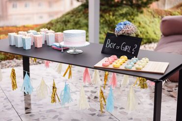 Baby Shower and Gender reveal Celebrations Custom Event Designing in Jupiter, Palm Beach County