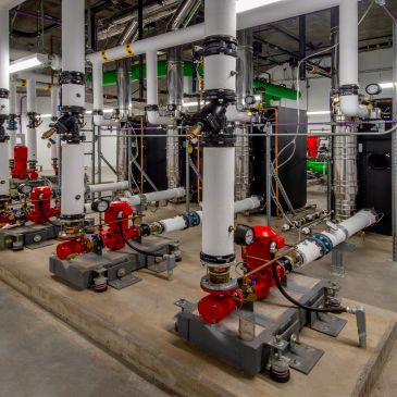 Industrial pipes and pumps in a mechanical room.