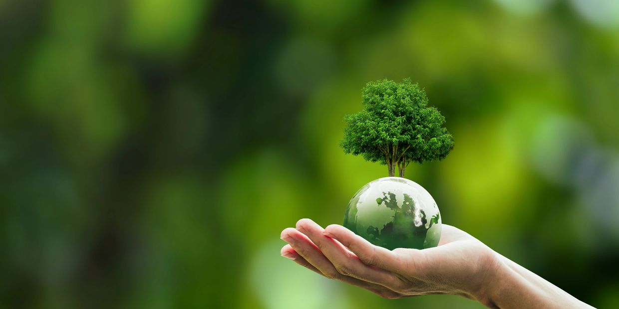 Hand holding small Earth with tree growing out of it showing connection between nature and human act