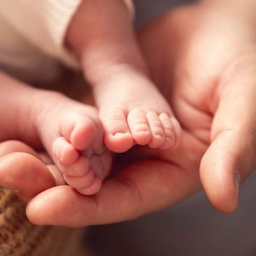 Adult hands gently holding tiny baby feet with care.
