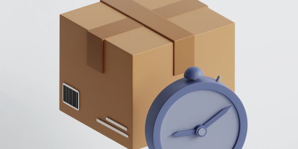 3D illustration of a brown package with a blue stopwatch symbolizing timed delivery.