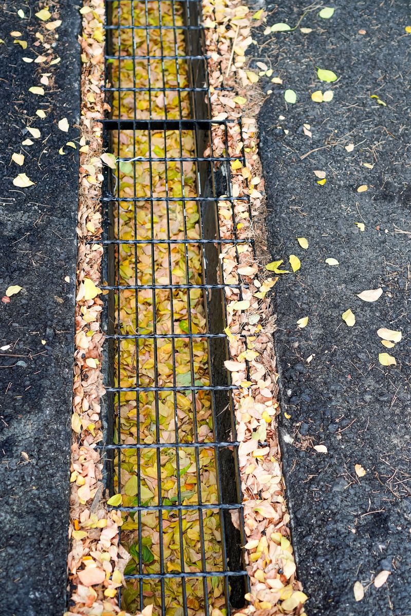 The vertical image shows a view through the sewer grate cover where water has begun to rot and is clogged by piles of leaf debris.