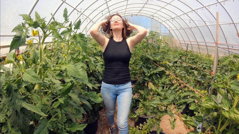 Virginia Dale, CO USA- June 27, 2023  A young woman is filmed on a Road Trip. She stops at a roadside Farm Stand and walks through a Greenhouse. This clip was taken on a road trip between Denver and Laramie Wyoming.