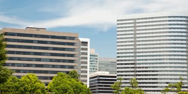 Modern office buildings surrounded by green trees under a blue sky.