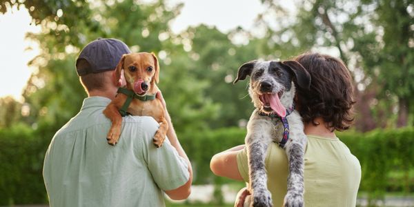 Two people holding happy dogs in a green park.