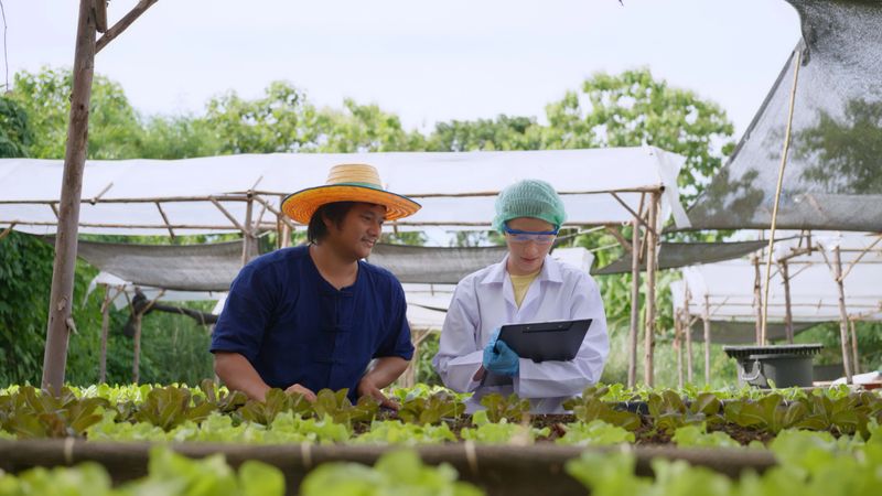 Woman botanist and farmer sharing insights and ideas recommendations to optimize the organic systems in organic vegetable farm. Organic farming
