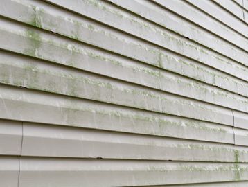 White siding with green mold and water stains on a building's exterior.