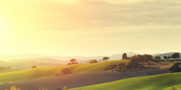 Sunlit rolling hills with scattered trees under a bright sky.