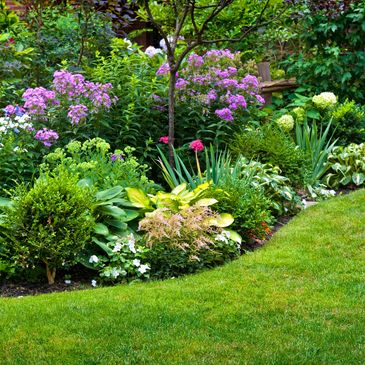 A vibrant garden bed with colorful flowers and lush greenery beside a manicured lawn.