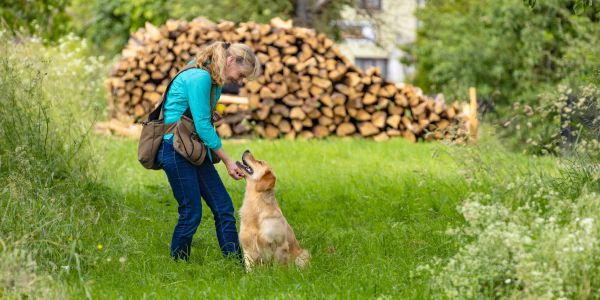 lady in country side with a dog and wood logs behind
