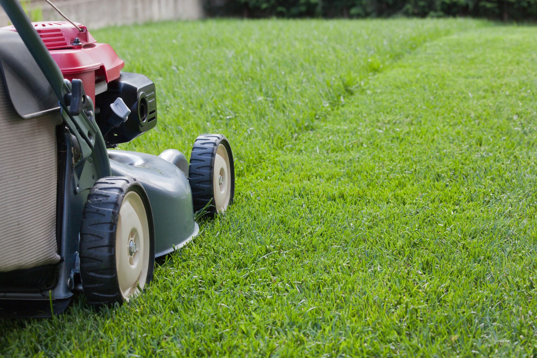 expert-lawn-care-service-and-spring-clean-ups