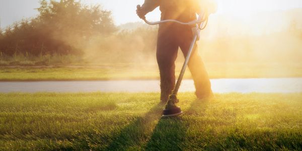 Lawn Maintenance at anytime 