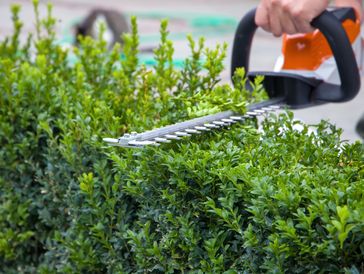 TOMEI Landscaping Ltd photo 3