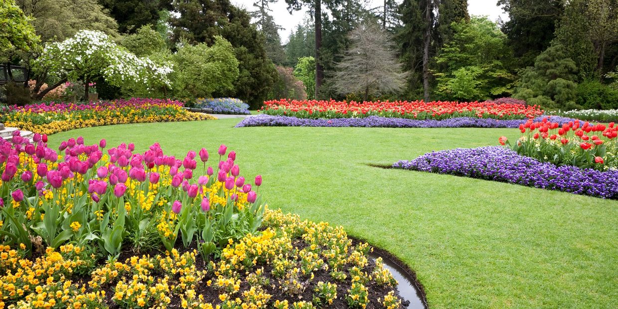 A vibrant garden with colorful flower beds and lush greenery.