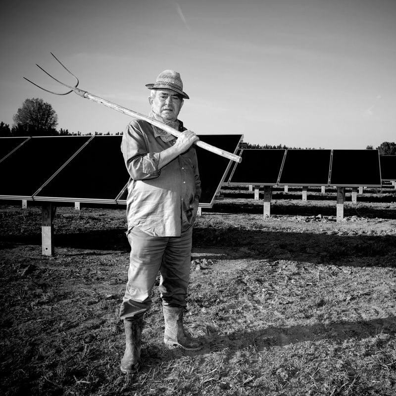 the farmer with his new plantation of solar panels http://www.massimomerlini.it/is/lifestyles.jpg