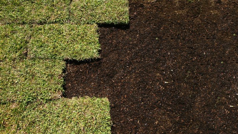 Lying down fresh Sod Grass.