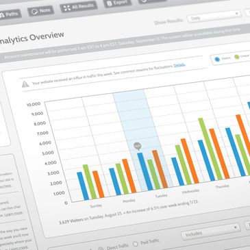 Website analytics overview showing visitor traffic trends by day.